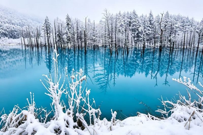 Chinese & English Guide: Hokkaido Popular Day Trip | Asahiyama Zoo & Biei Internet-Famous Trees & Shirasu Waterfall & Shirogane Blue Pond & Ningle Terrace (Sapporo Departure) - A long ride north, with plenty packed in