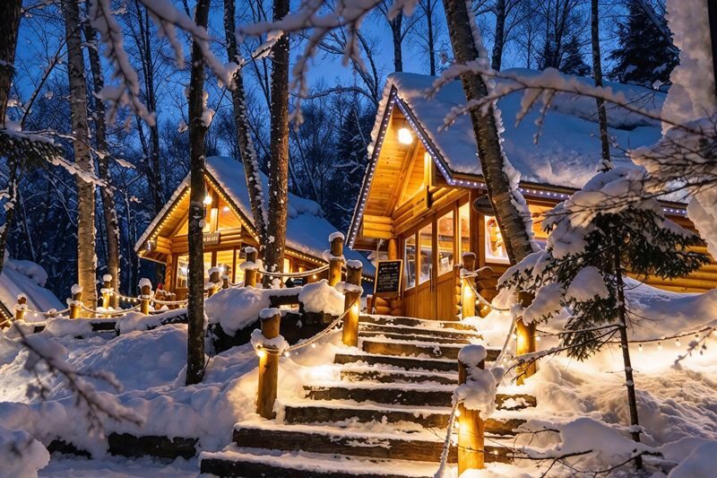 Chinese & English Guide: Hokkaido Popular Day Trip | Asahiyama Zoo & Biei Internet-Famous Trees & Shirasu Waterfall & Shirogane Blue Pond & Ningle Terrace (Sapporo Departure) - Ken & Mary’s Tree: a glimpse from the road