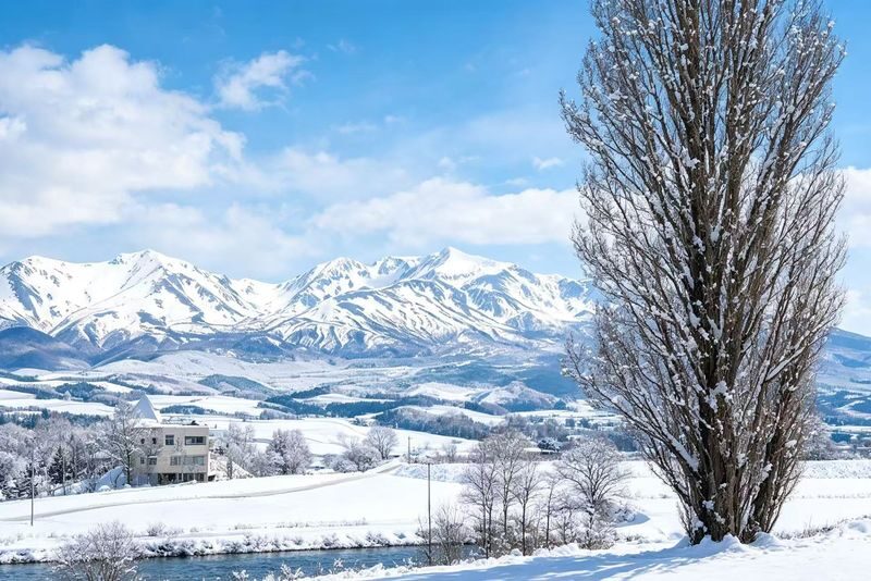 Chinese & English Guide: Hokkaido Popular Day Trip | Asahiyama Zoo & Biei Internet-Famous Trees & Shirasu Waterfall & Shirogane Blue Pond & Ningle Terrace (Sapporo Departure) - Shirahige Falls: water threading through the rock