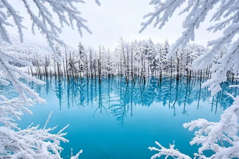 Chinese & English Guide: Hokkaido Popular Day Trip | Asahiyama Zoo & Biei Internet-Famous Trees & Shirasu Waterfall & Shirogane Blue Pond & Ningle Terrace (Sapporo Departure) - Ningle Terrace: wooden cabins and a possible change of plan