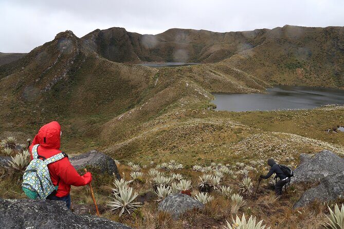 Chingaza Siecha & Cuchillas Lakes Trek - Key Points