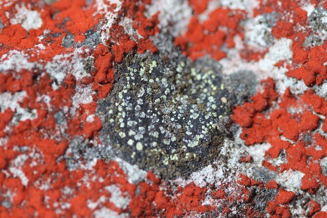 Chingaza Siecha & Cuchillas Lakes Trek - A Deep Dive into the Experience: What to Expect