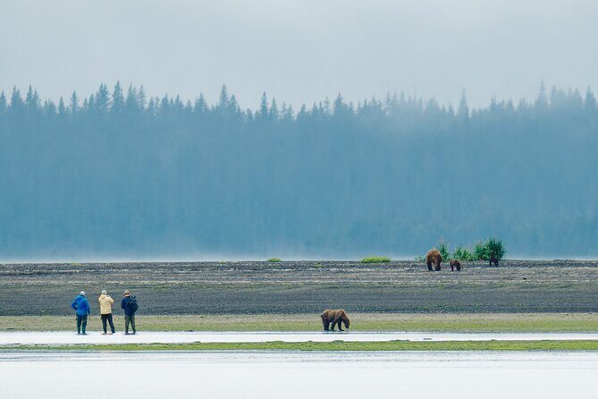Chinitna Bay Bear Viewing Flight Tour from Talkeetna - In-Depth: What Makes This Tour Stand Out