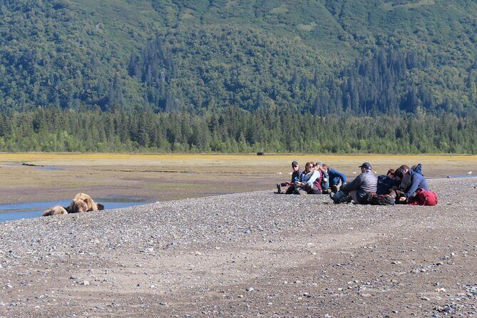 Chinitna Bay Bear Viewing Flight Tour from Talkeetna - Real Traveler Insights