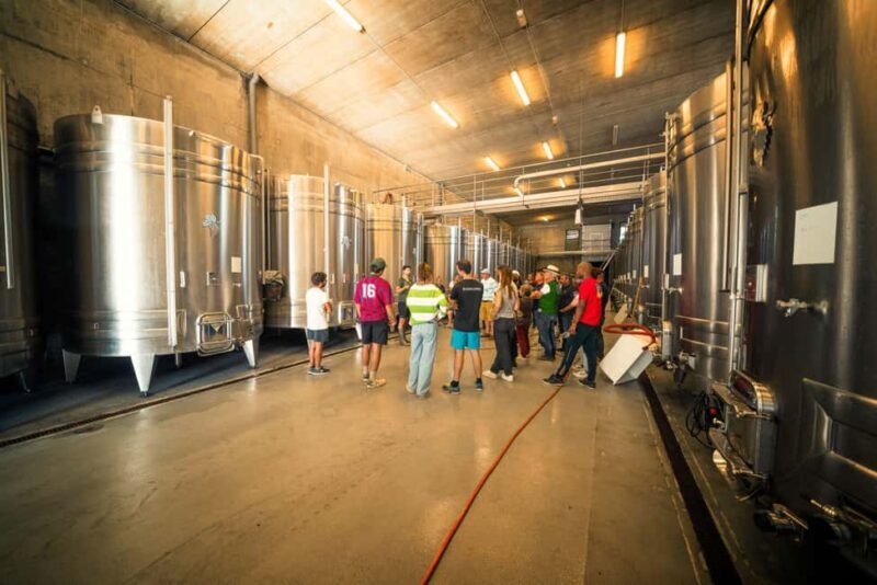 Chinon : Discovery Tours and Wine Tasting - Chinon: Discovery Tours and Wine Tasting — An In-Depth Look