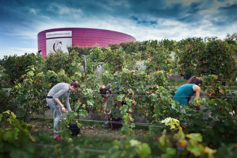 Chinon : Discovery Tours and Wine Tasting - What This Tour Means for You