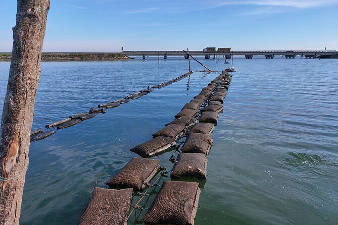 Chioggia : Aquaculture Secrets Tours of the Lagoon - An In-Depth Look at Chioggias Aquaculture Secrets Tour