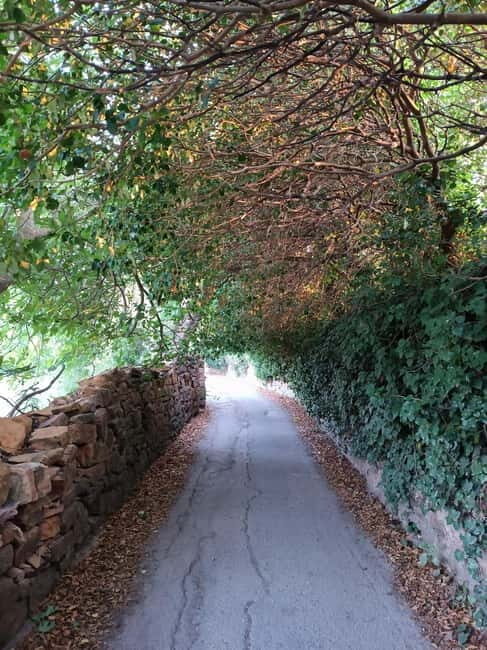 Chios: Kampos Private Walking Tour - Key Points