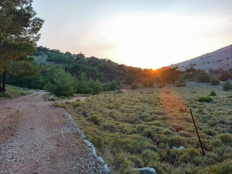 Chios: Private Sunset Hiking Tour to Lithi beach - Who Should Consider This Tour?