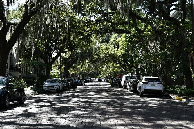 Chippewa Square to Forsyth Park: A Self-Guided Audio Tour of Savannah - Who Will Love This Tour?