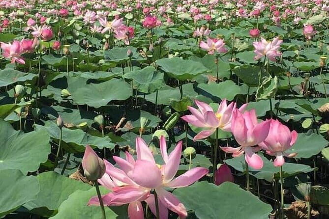 Chiso temple, Neang khmao, and Taprum temple historical site Tour - Who Should Consider This Tour?