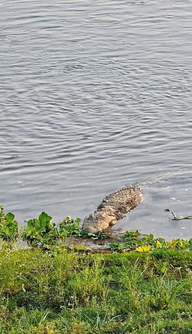 Chitwan: 2 Full day jungle walk with Canoeing all inclusive - Is It Worth It?