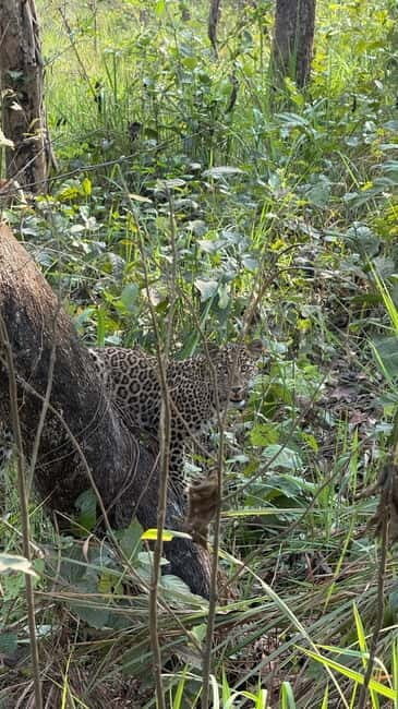 Chitwan: 2 Full day jungle walk with Canoeing all inclusive - FAQ