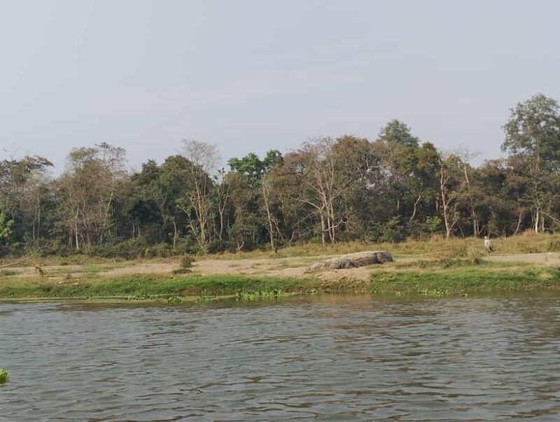 Chitwan Combo Tour: Jeep Safari, Canoeing & Jungle Walk - Who Will Benefit Most from This Experience?