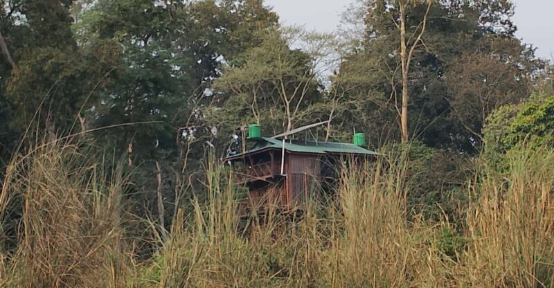 Chitwan: jungle One Night Towerstay in chitwan national park - Is This Tour Right for You?