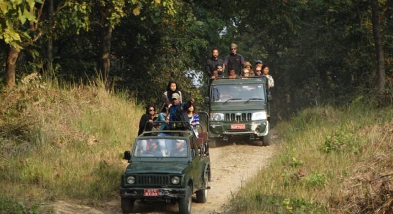 Chitwan Jungle safari 2 Nights 3 Days from Kathmandu - Key Points