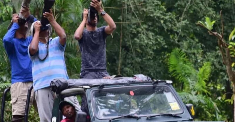 Chitwan Jungle safari 2 Nights 3 Days from Kathmandu - Exploring the Chitwan Jungle Safari Experience