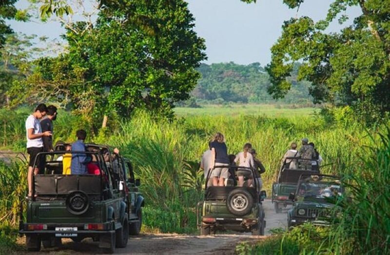 Chitwan Jungle safari 2 Nights 3 Days from Kathmandu - Who Should Consider This Tour?