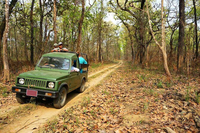 Chitwan Jungle Safari 3-Day Tour - In-Depth Review of the Chitwan Jungle Safari 3-Day Tour