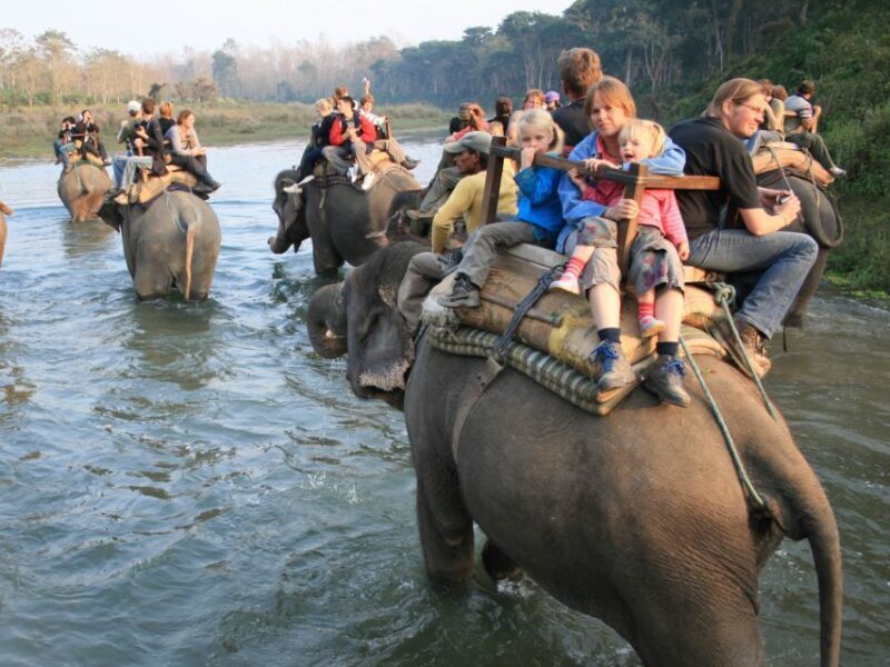 Chitwan Jungle Safari Tour: 3-Day Chitwan National Park Tour - FAQ
