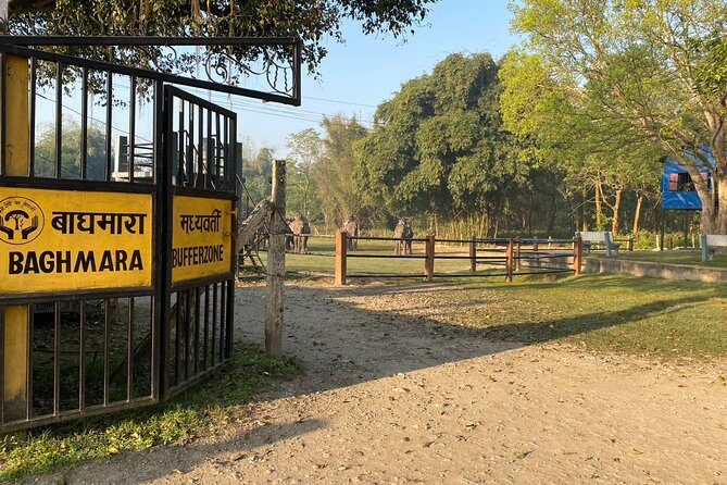 Chitwan Jungle Safari Tour - Key Points