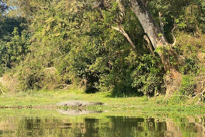 Chitwan Jungle Safari Tour - FAQ