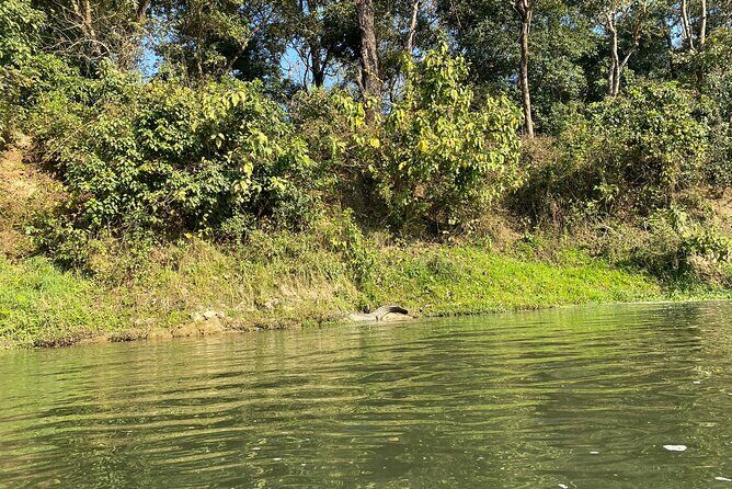 Chitwan Jungle Safari with Overnight Stay - Key Points