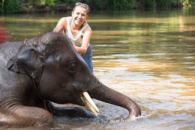 Chitwan National Park Tour - Authentic Experiences and Practical Tips