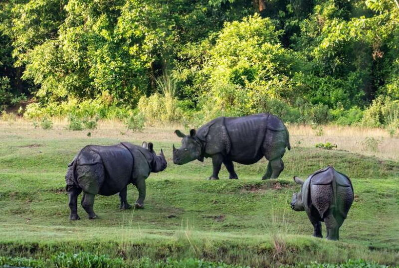 Chitwan National Park Tours: 3 Nights 4 days Full Package - Final Thoughts: Is It Worth It?