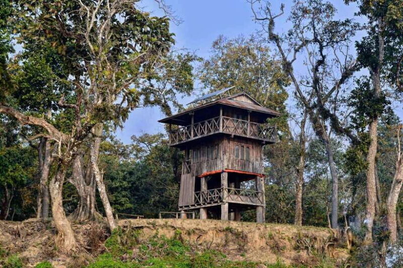 Chitwan National Park: Tower Night Stay with Nature Guide - Key Points
