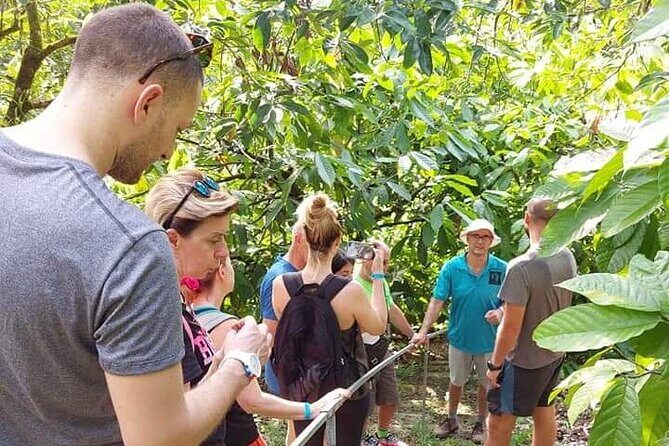 Chocolate and Coffee Tour Farm Don Jorge - Discover the Charm of Costa Rica at Farm Don Jorges Chocolate and Coffee Tour