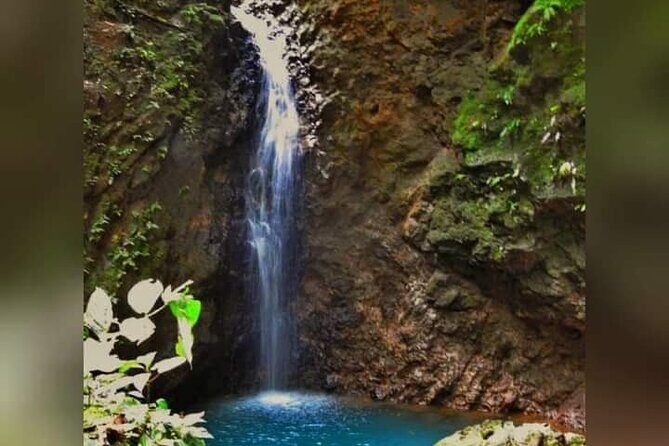 Chocolate and Coffee Tour Farm Don Jorge - Key Points