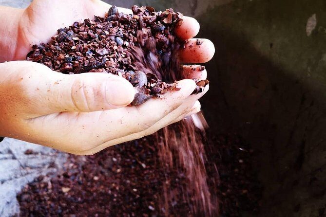 Chocolate and Coffee Tour Manuel Antonio - Introduction: A Sweet and Stimulating Adventure in Manuel Antonio