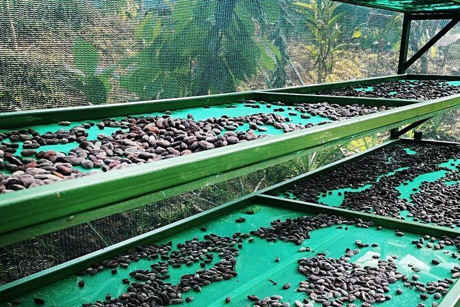 Chocolate and Coffee Tour Manuel Antonio - Key Points