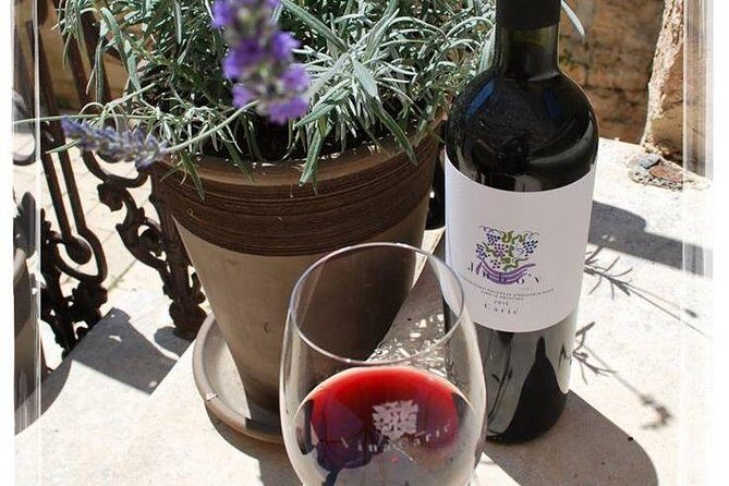 Chocolate and Wine Tasting Small Group Tour from Hvar - Detailed Breakdown of the Tour Experience