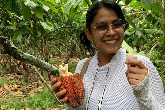 Chocolate Bike Tour/ Pedal, explore and taste! - The Sum Up: Who Will Love This Tour?