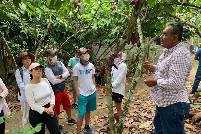 Chocolate Bike Tour/ Pedal, explore and taste! - FAQ