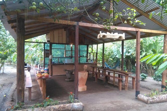 Chocolate, Coffee & Sugar Cane Experience - La Fortuna - A Deep Dive into the Experience: What to Expect