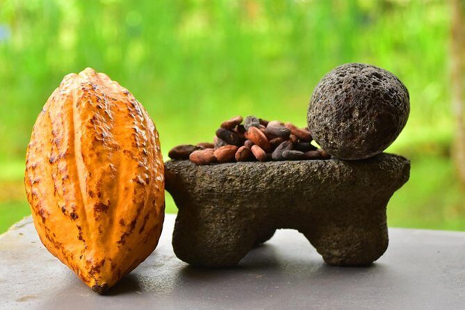 Chocolate Experience in Jaco Beach and Los Suenos - The Itinerary: What to Expect on the Chocolate Tour
