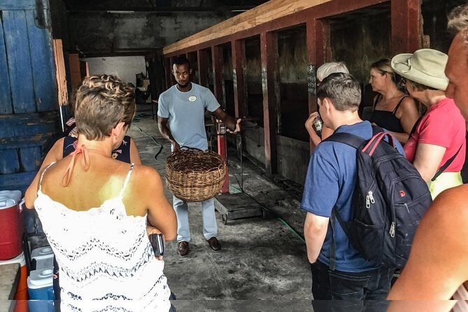 Chocolate Factory Belmont Estate, Annandale Falls & Grand Etang Lake Tour - Belmont Estate: A Chocolate Lover’s Dream