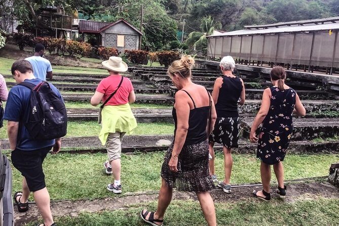 Chocolate Factory Belmont Estate, Annandale Falls & Grand Etang Lake Tour - Authentic Experiences and Authenticity