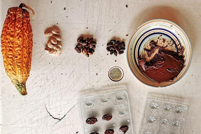 Chocolate Farm Private Tour in Medellin: Real Genuine Experience - Key Points