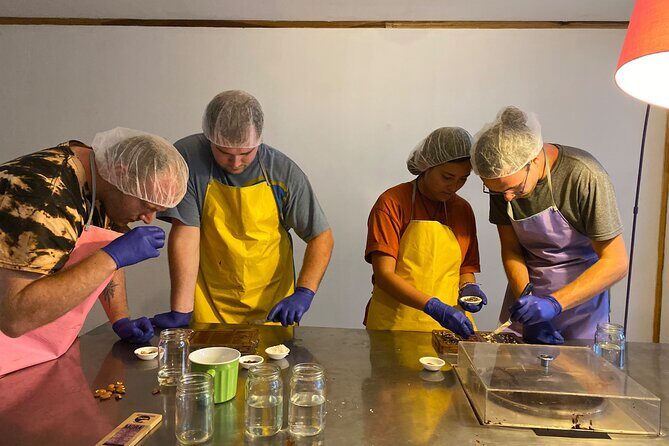 Chocolate Making and Tasting at a Local Factory in San José - Who Will Enjoy This Experience?