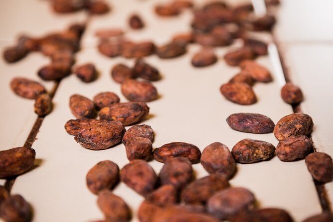 Chocolate Making Class "From the Cocoa Bean to the Bar" at Chocomuseo in Cusco - Final Thoughts