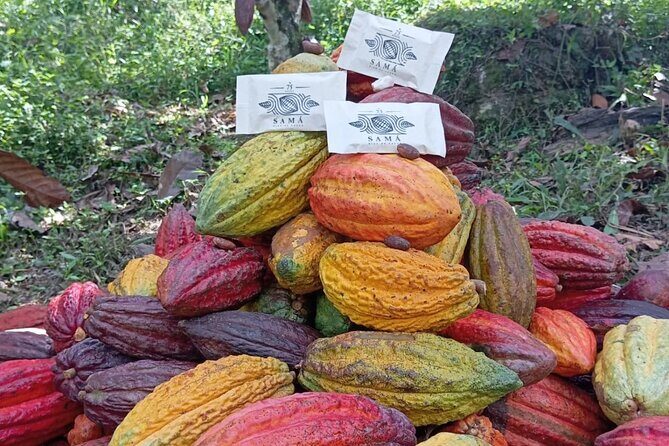 Chocolate roads at Camantours with Waterfall Experience - Final Thoughts