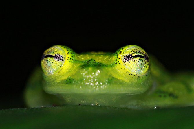 Chocolate Tour and Night Tour - The Sum Up