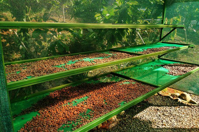 Chocolate Tour Basic: Self-drivers without lunch - Key Points