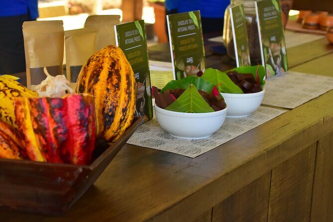 Chocolate Tour & Crocodile Safari. Puntarenas shore excursion - Practical Details and Tips