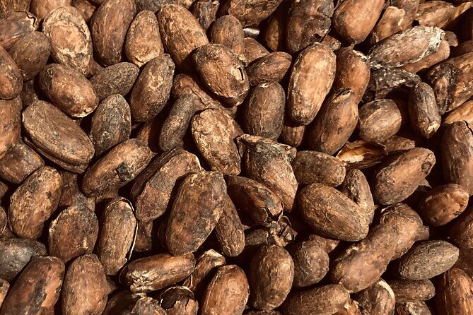 Chocolate Tour Including Hot Chocolate and Samples - Who Will Love This Tour?