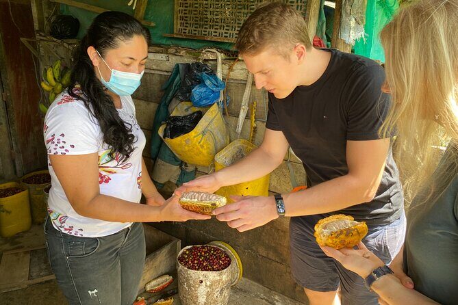 Chocolate tour near Medellin - Key Points